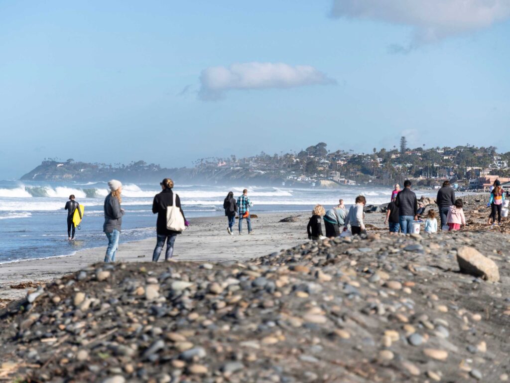 RMF-Beach-Cleanup-Background